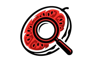 日本时间 - 吃瓜社Logo